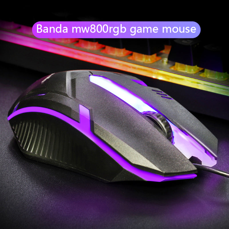 Banda MW800 RGB Esports Gaming Mouse – Precision Control, Dazzling Lighting, and Streamlined Comfort